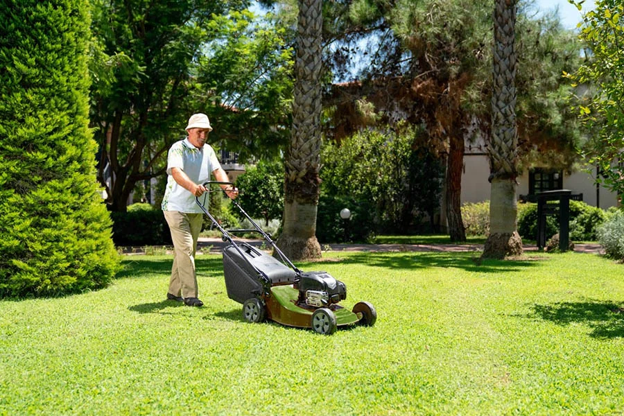 best cordless push lawn mower