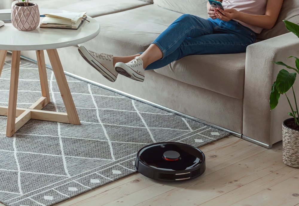 affordable robot vacuum cleaner